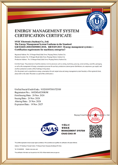 Management system certification